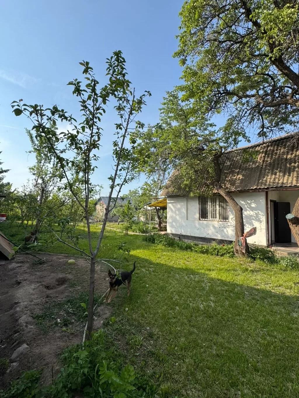 Срочно❗🔥По цене участка!🔥🔥Продаётся дача, 5 соток. 📍Байтик, дачный