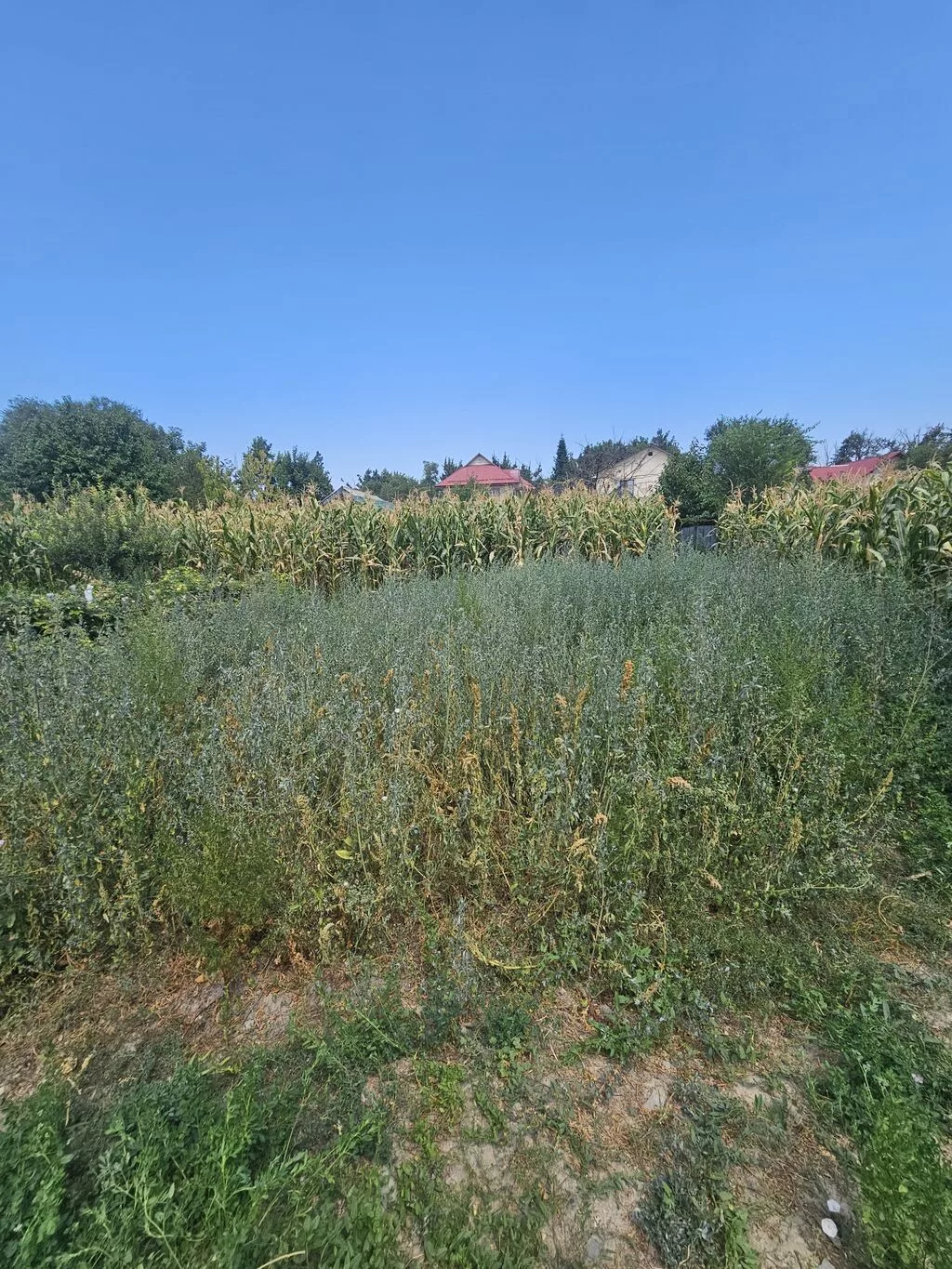 9 соток, Для бизнеса, Красная книга, Тех паспорт, Договор купли-продажи