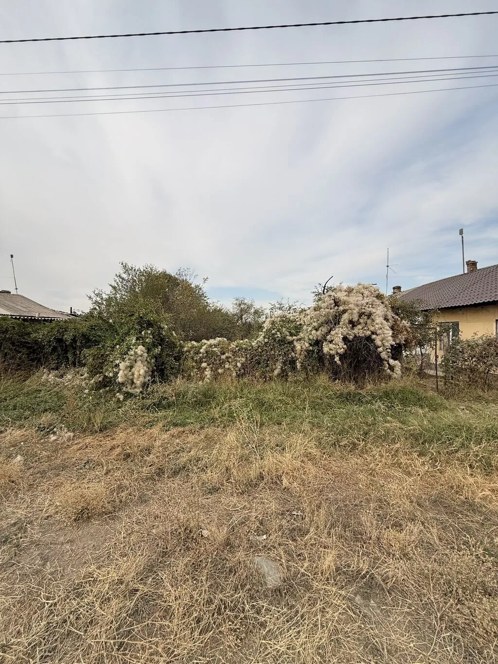 6 соток, Для бизнеса, Красная книга, Тех паспорт, Договор купли-продажи