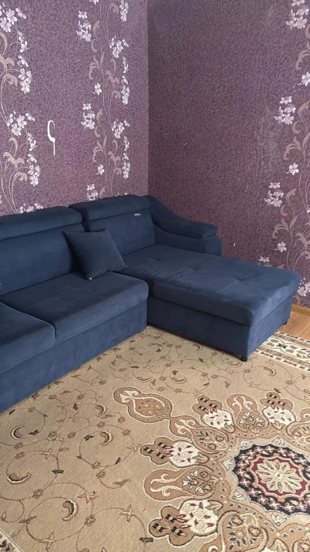 160 м², 5 комнат, Красный Строитель ж/м