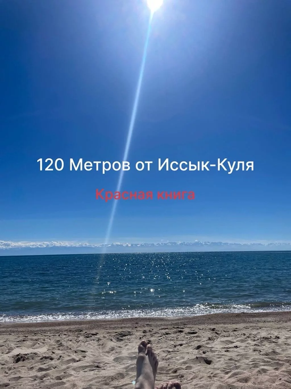 6 соток, Для строительства, Красная книга