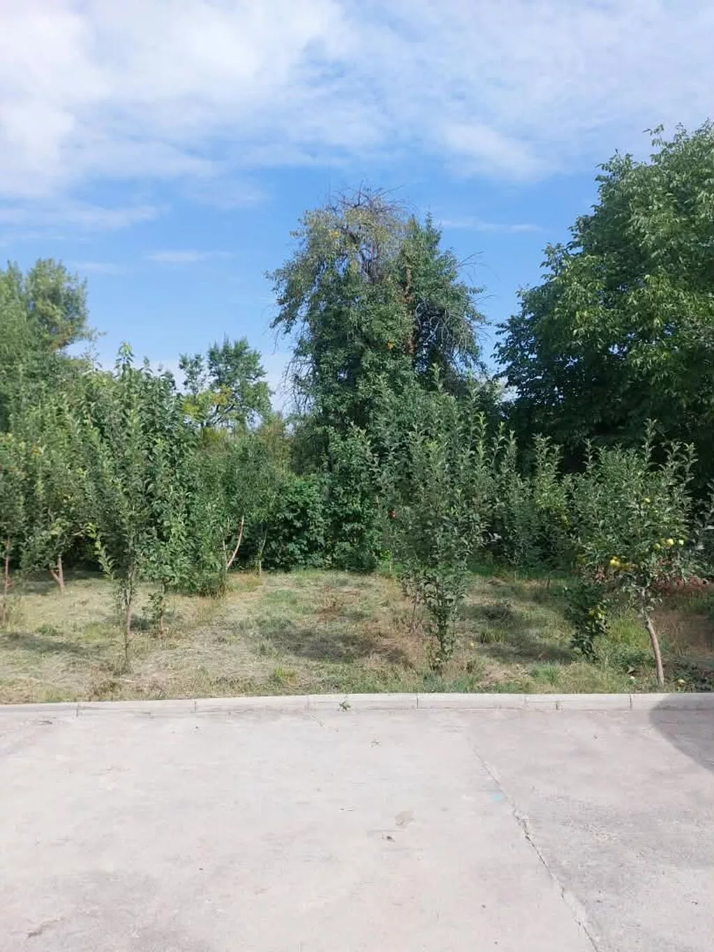 5 соток, Для строительства, Красная книга, Договор купли-продажи