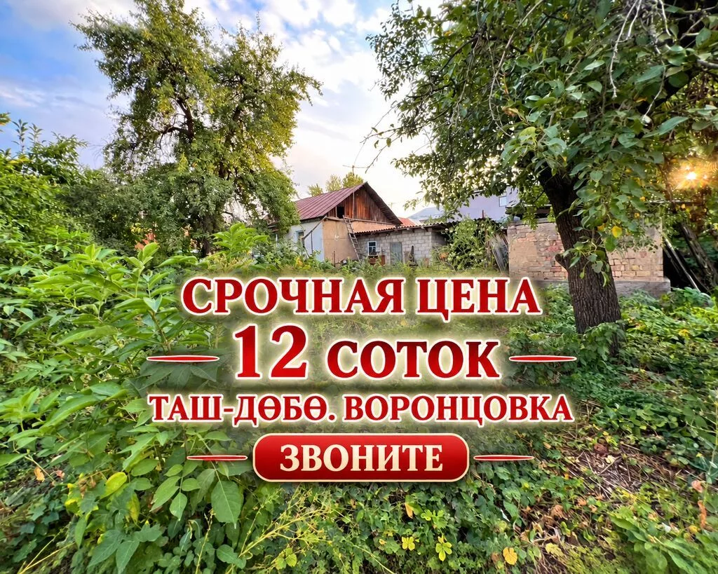 12 соток