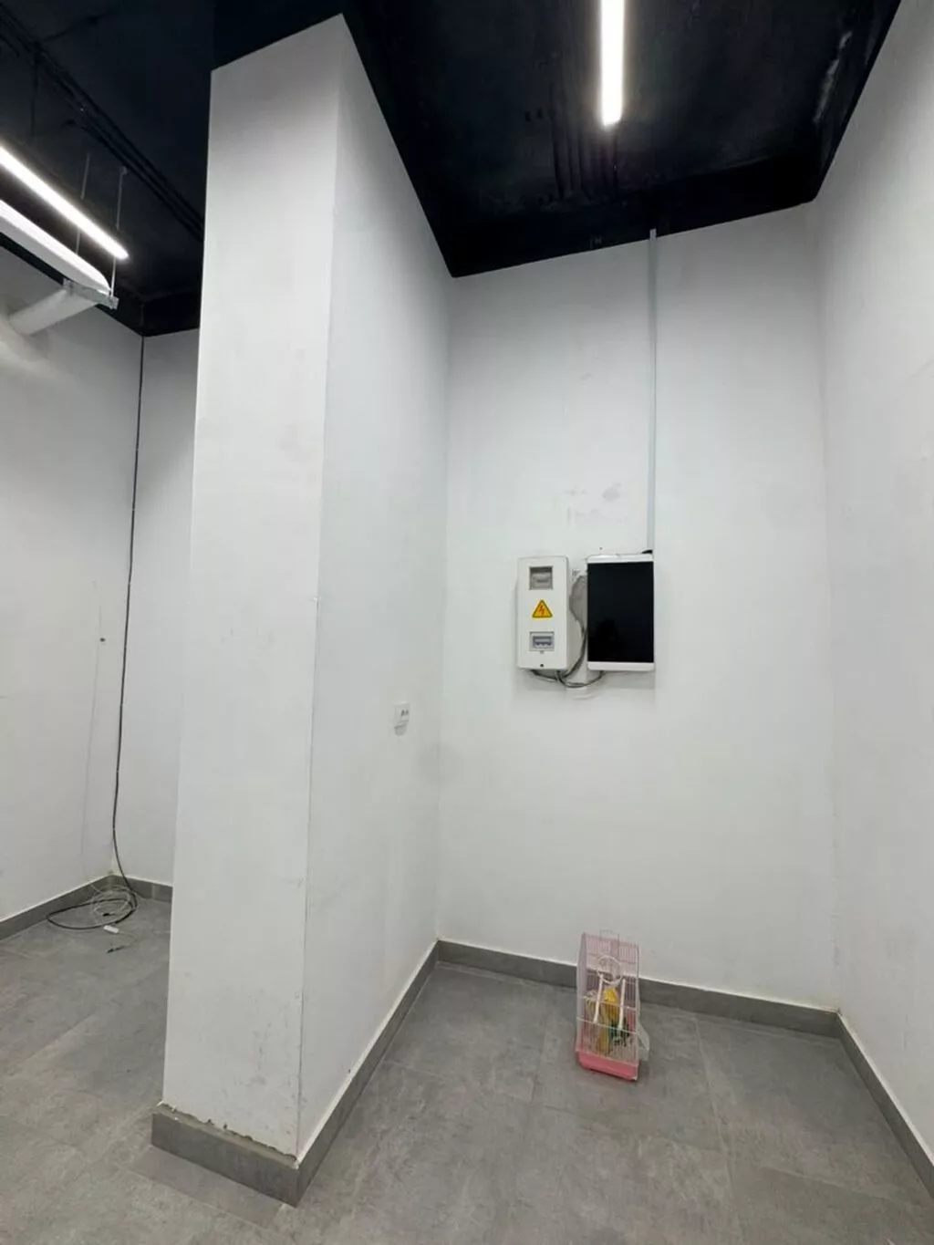 Сдаю The entire office: Сдаю IT company, 155 м², В жилом комплексе, С ремонтом, С отдельным входом