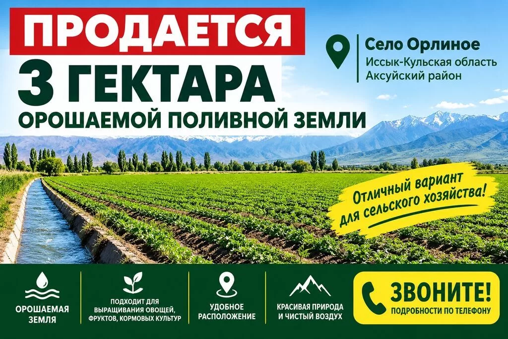 3000 соток, Договор купли-продажи