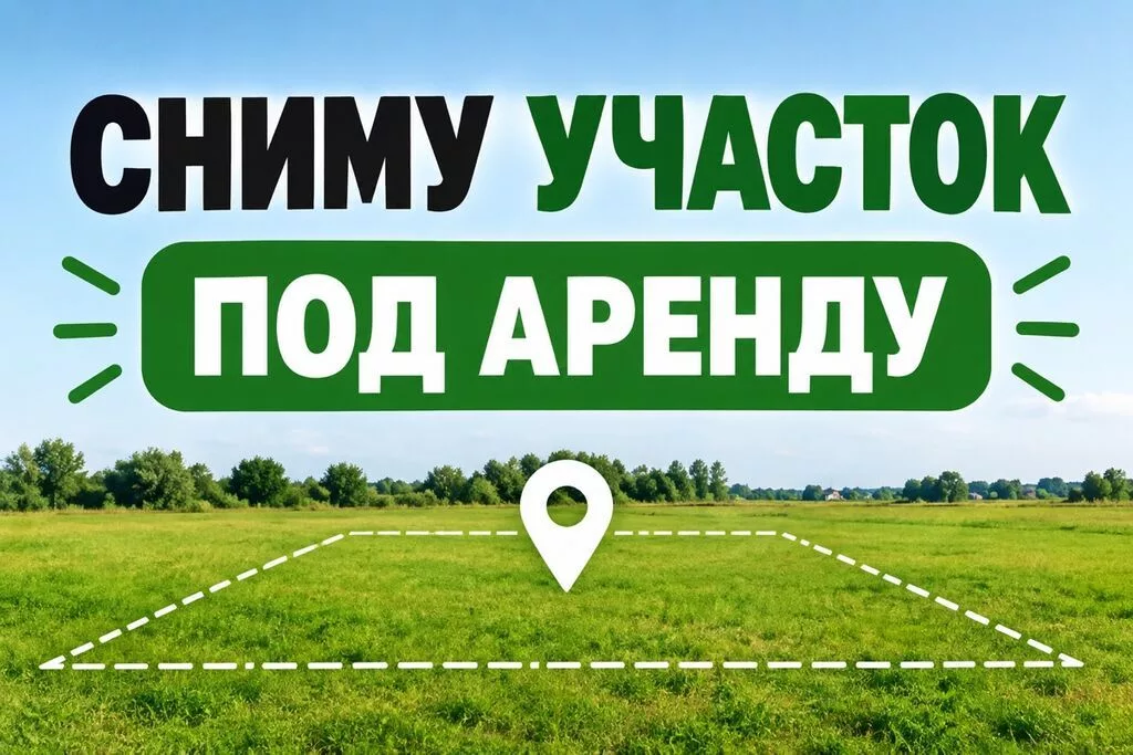 20 соток Для бизнеса, Электричество