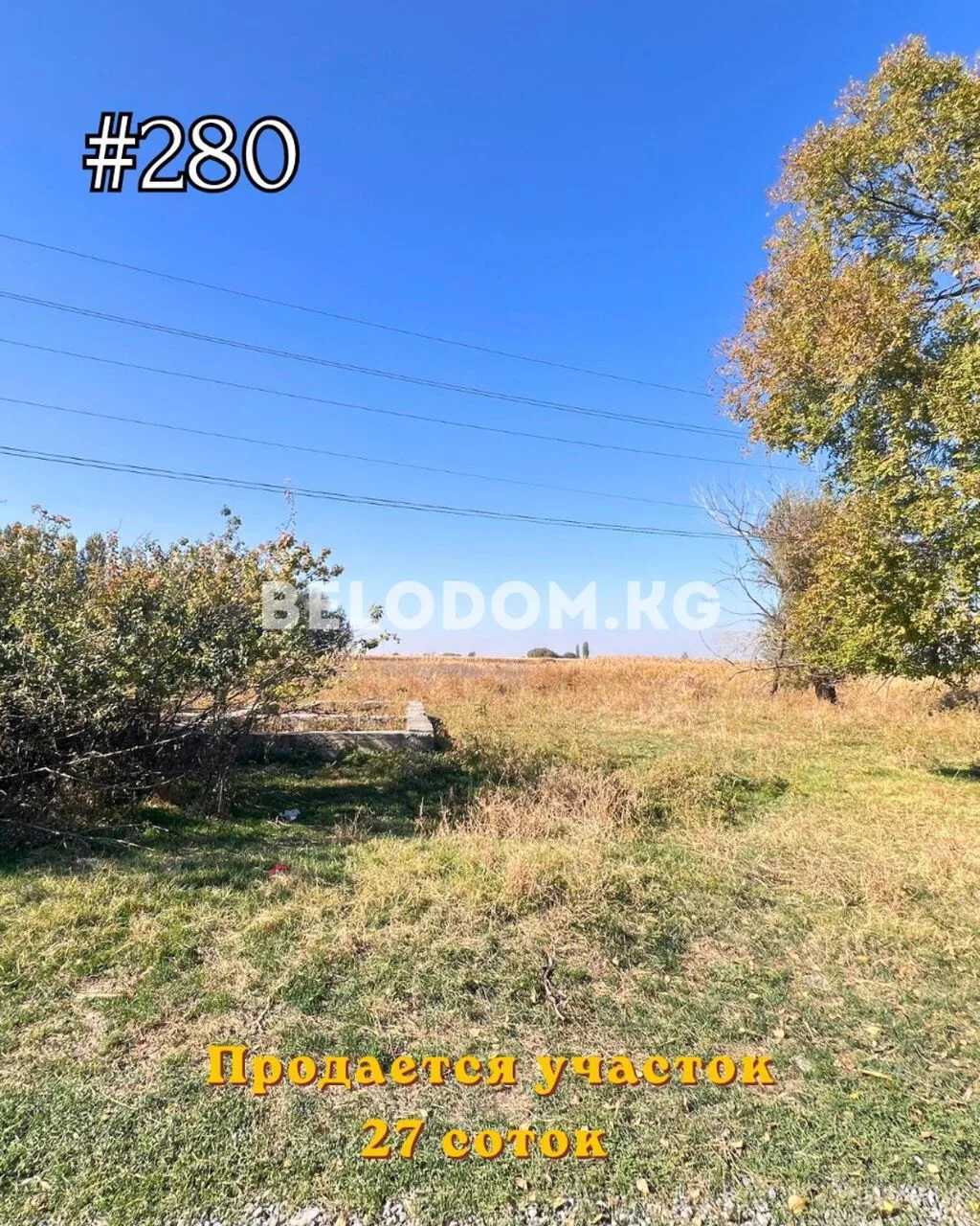 27 соток, Красная книга