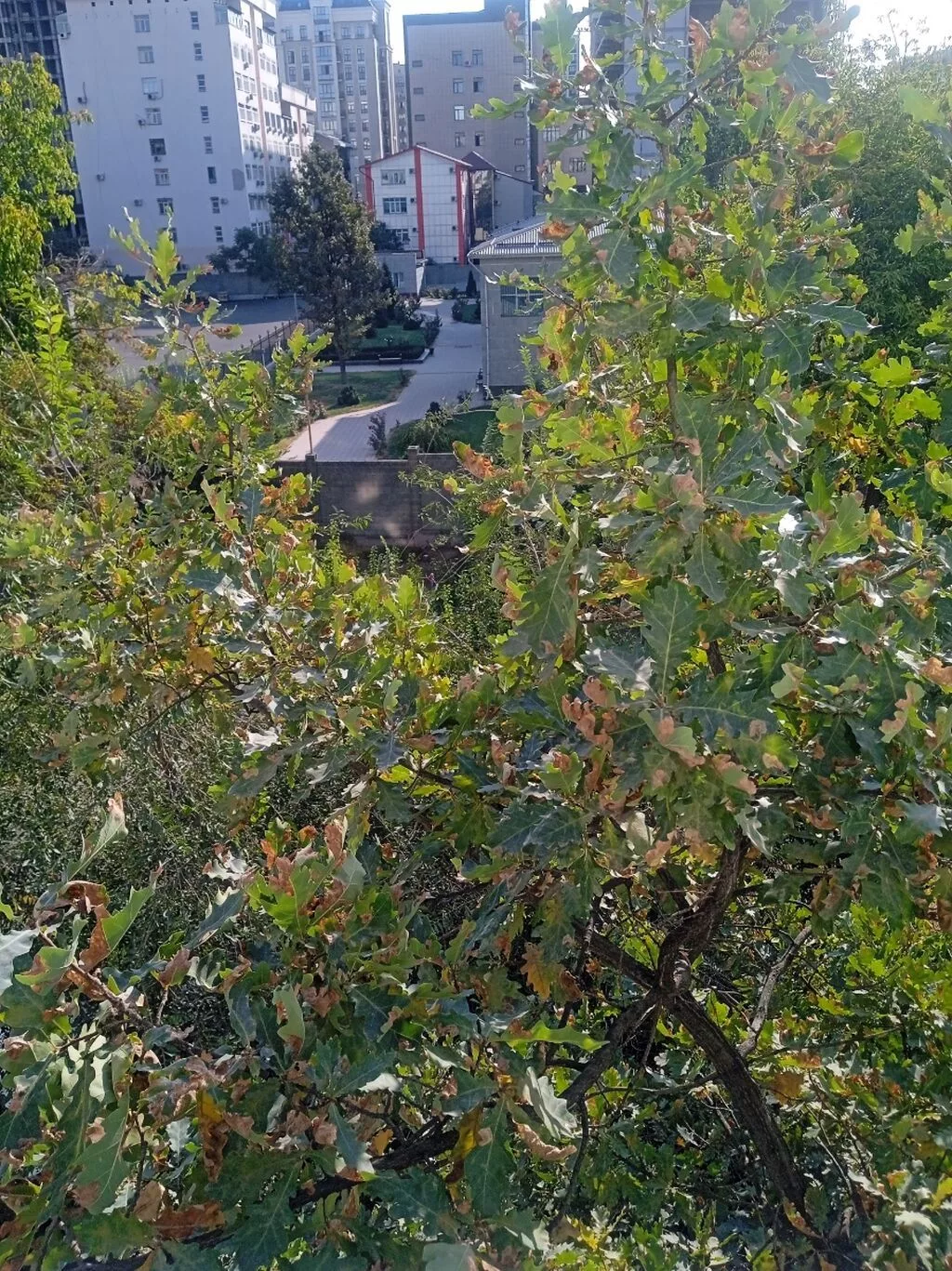 3 комнаты, 61 м², Индивидуалка, 4 этаж, Косметический ремонт