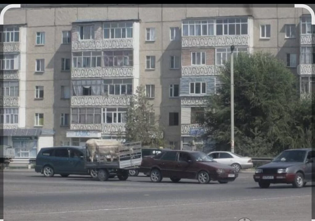1 комната, Собственник, Без животных, от 1 года, С мебелью полностью