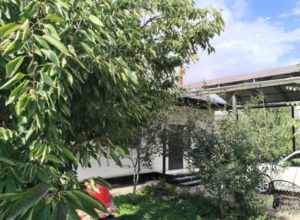 🏠 ПРОДАЁТСЯ ДОМ — СРОЧНО! 📍 Ориентир: Магистраль / ул. Алыкулова
