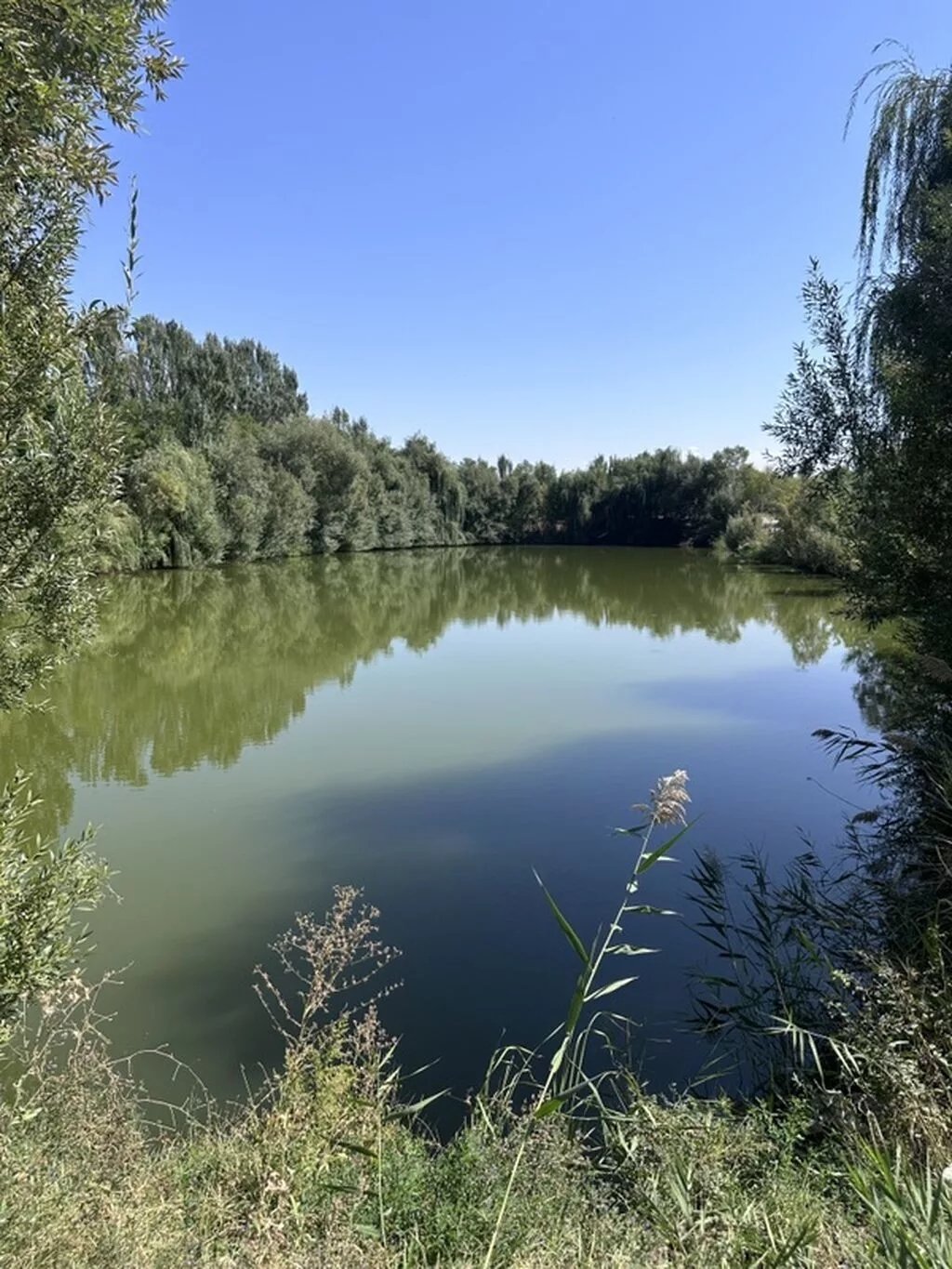 Для бизнеса