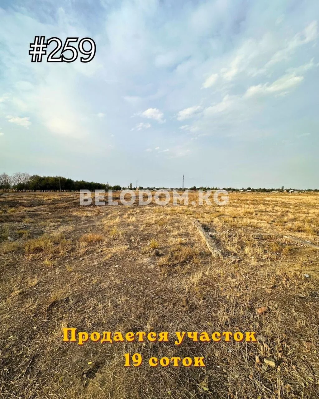 19 соток