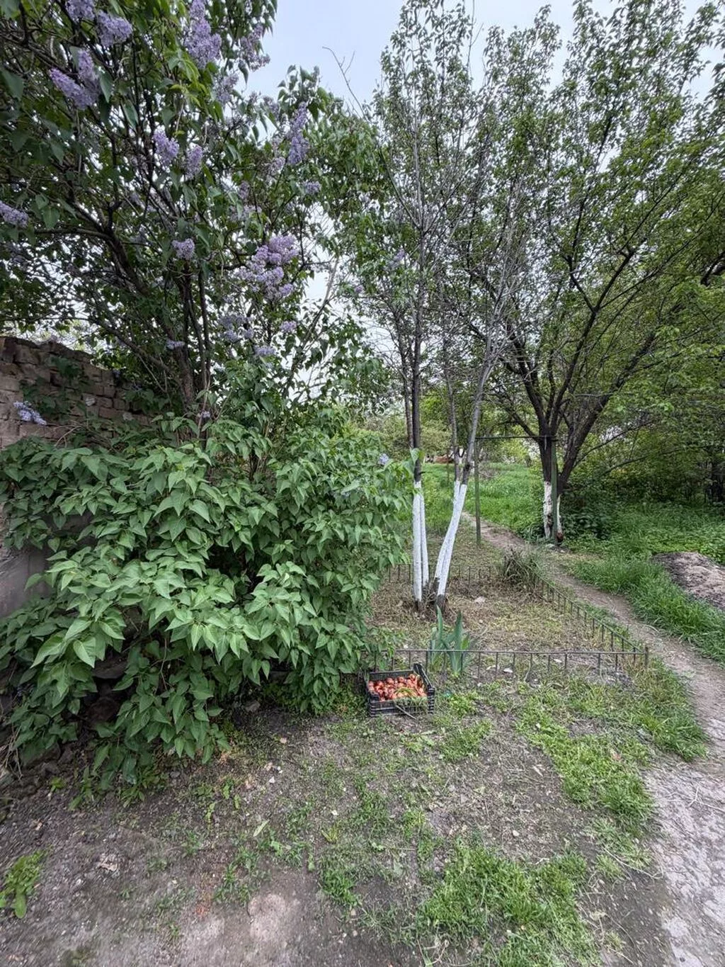 2 комнаты, 50 м², 9 соток, Бишкек, Новопавловка с. Риэлтор