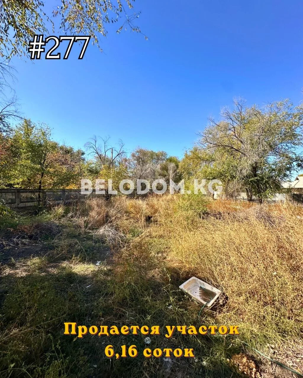6 соток, Красная книга