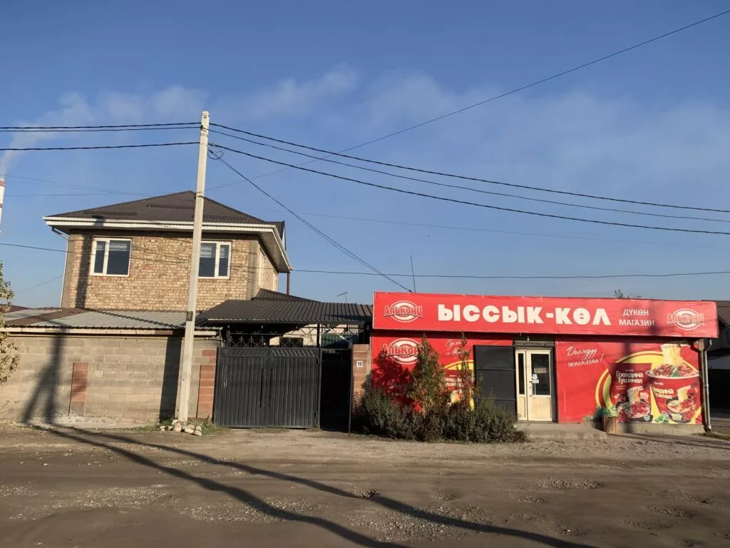 Продаю дом частный 3 сотых вместе магазинами доход 100-140тыс в месяц
