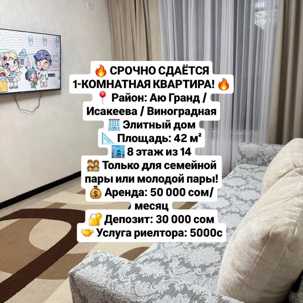 1 комната, АЮ Гранд Риэлтор, Семейным, С мебелью полностью