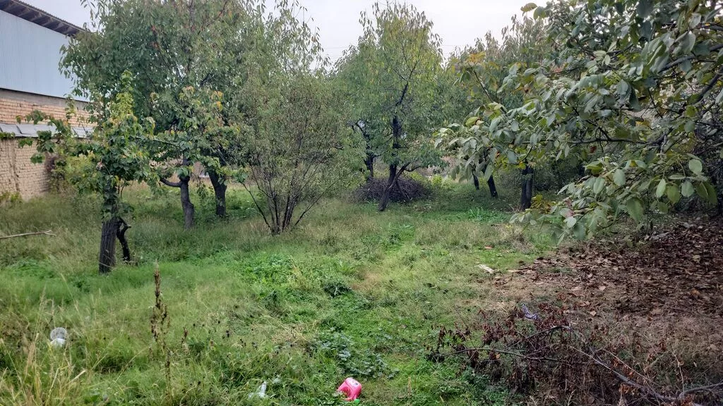Для бизнеса