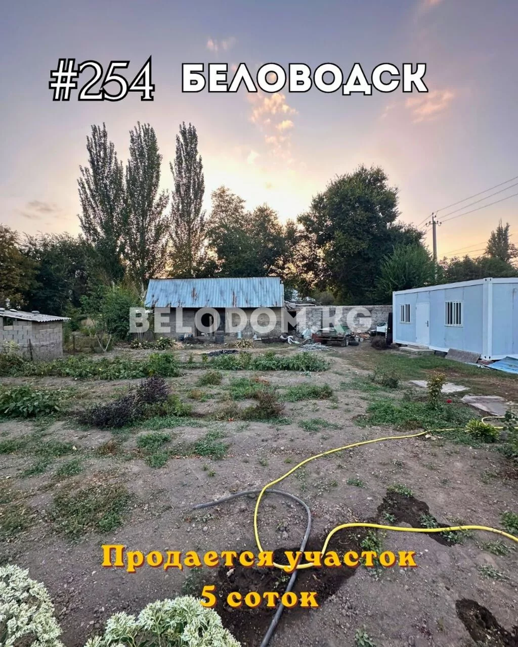 5 соток