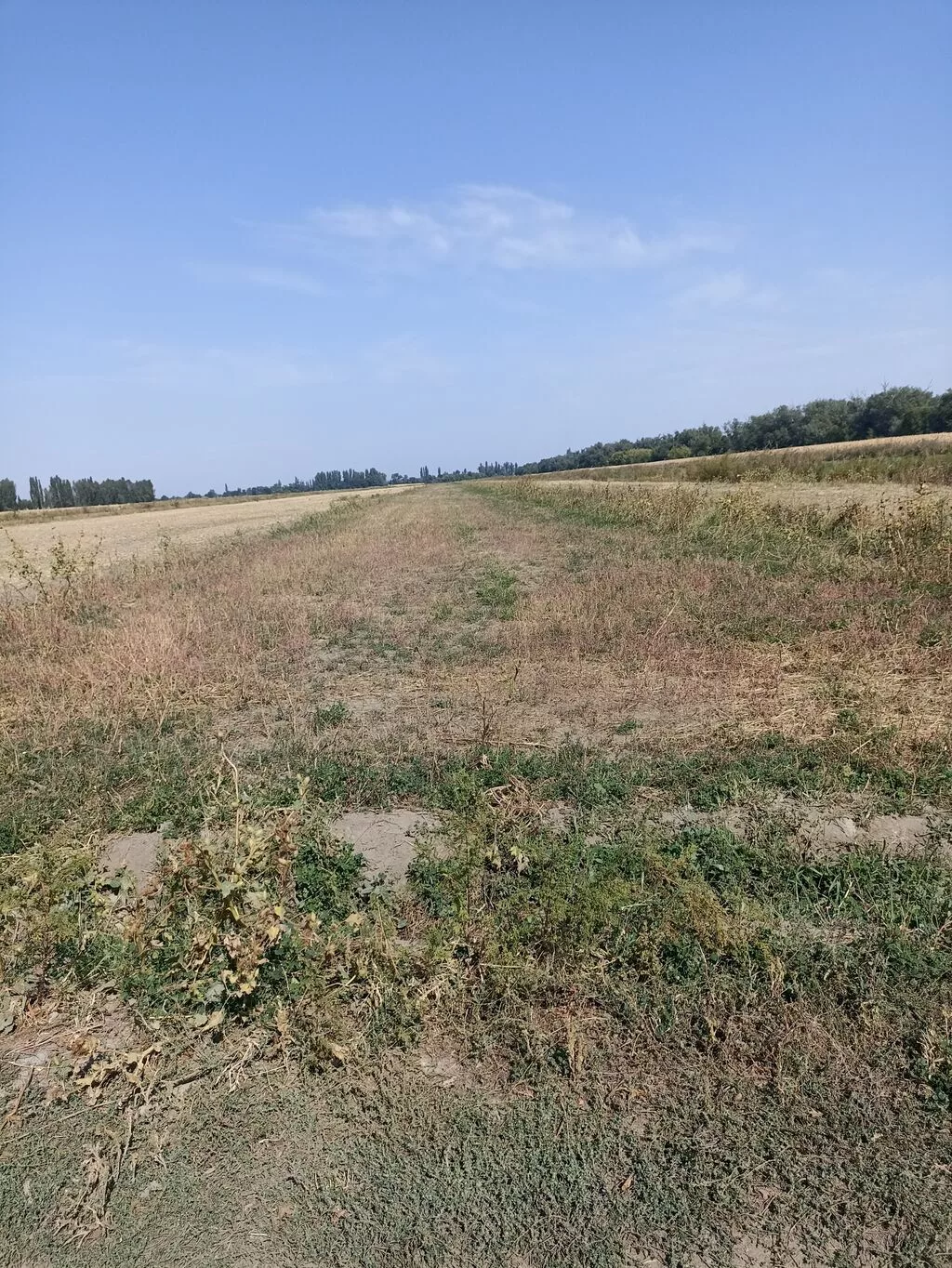 1 соток