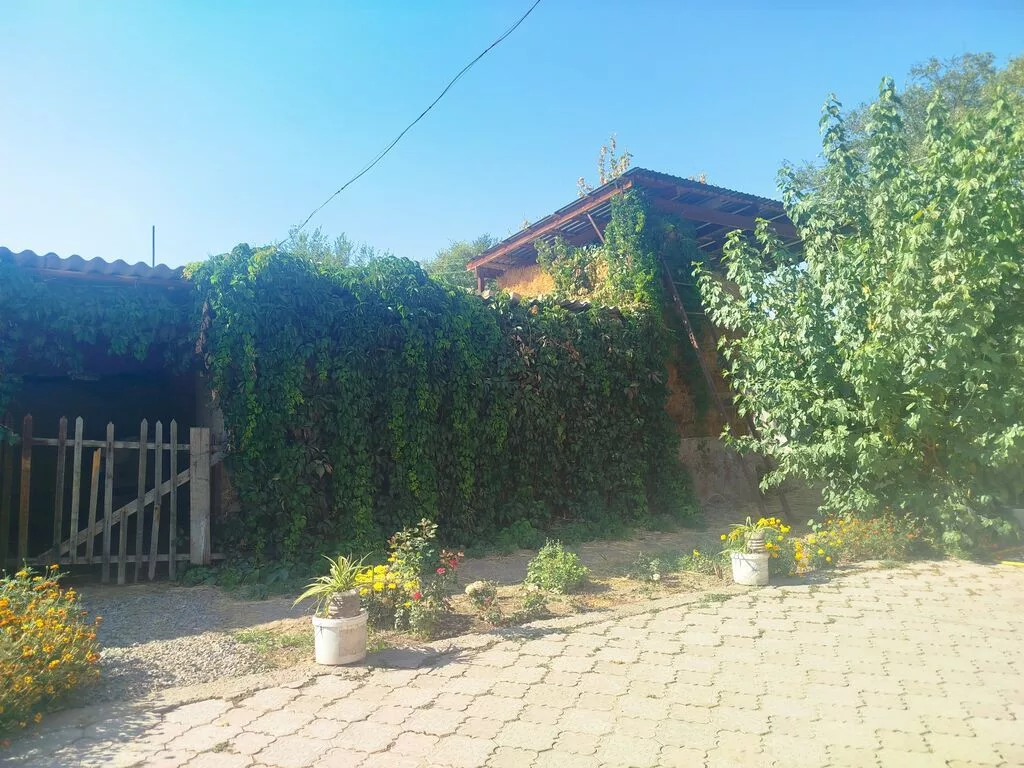 4 комнаты, 60 м², 6 соток, Алексеевка, Собственник