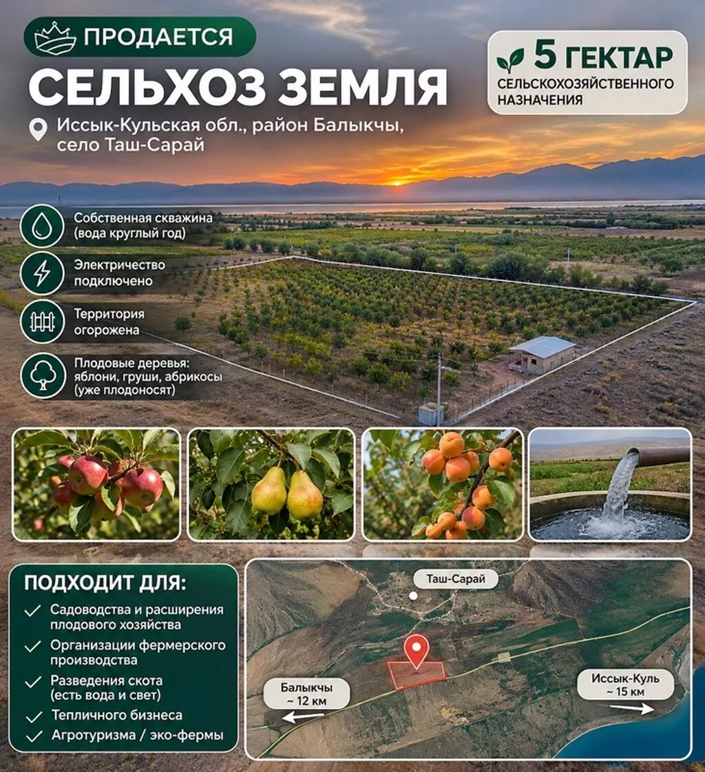 500 соток