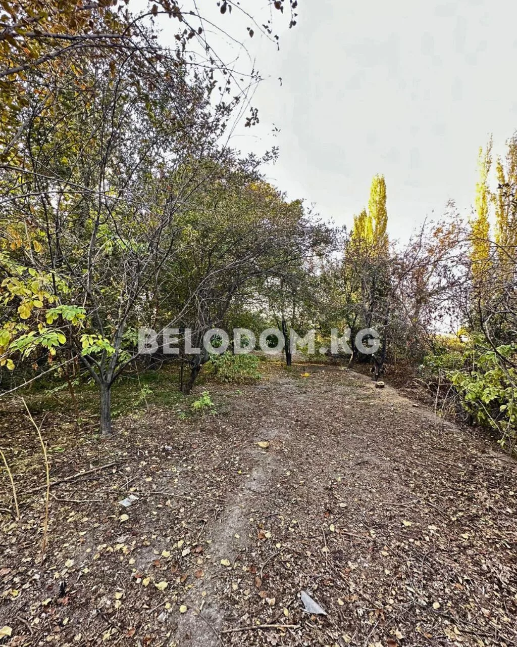 4 комнаты, 122 м², 32 соток, Петровка, Агентство недвижимости