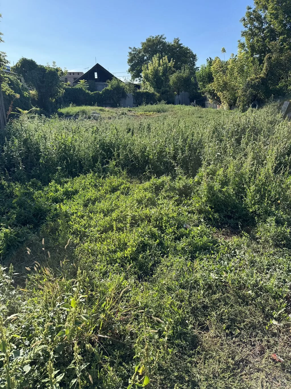4 комнаты, 120 м², 8 соток, Аламедин (ГЭС-2), Собственник