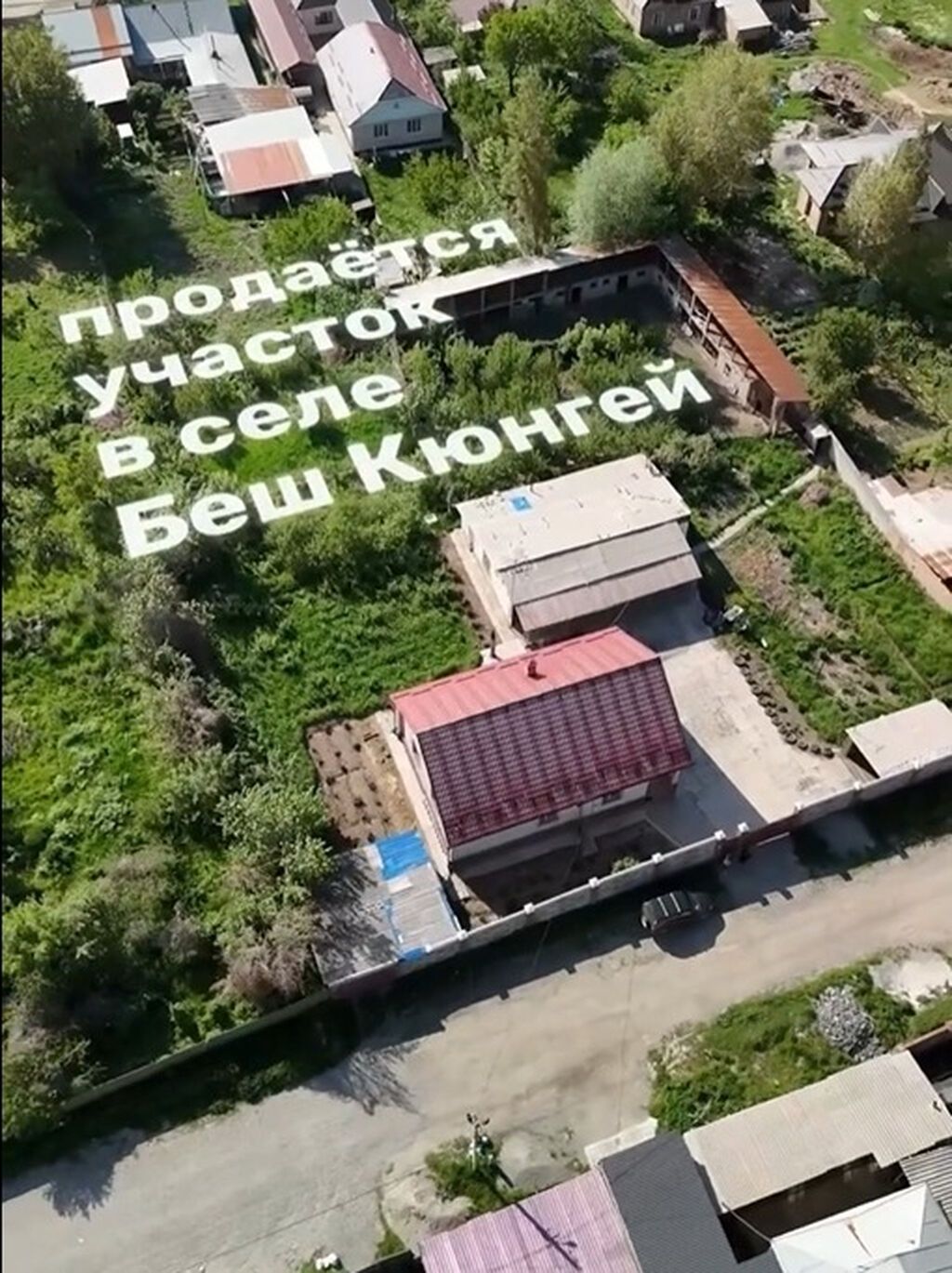 23 соток, Красная книга