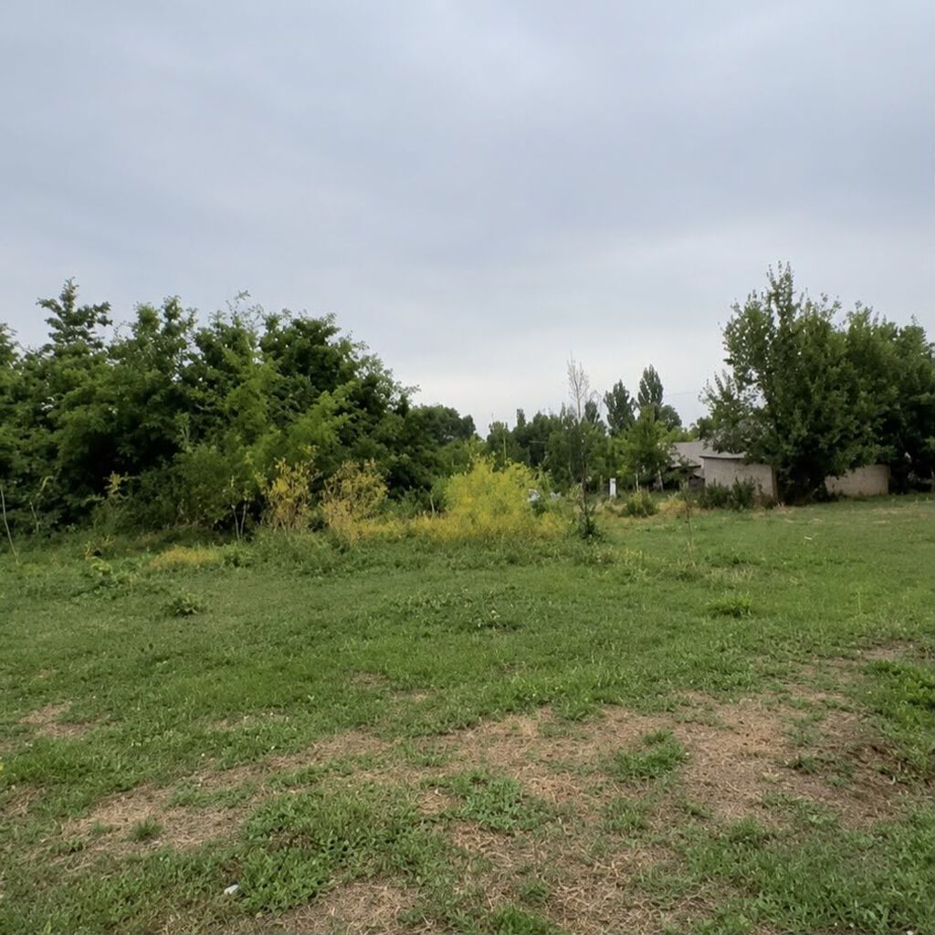4 соток