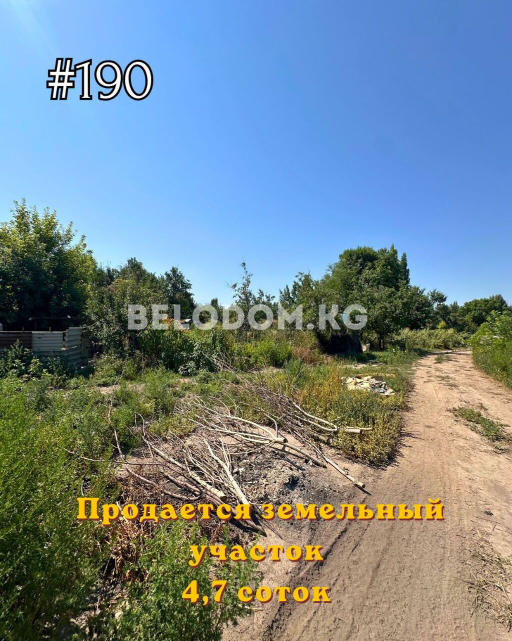 4 соток