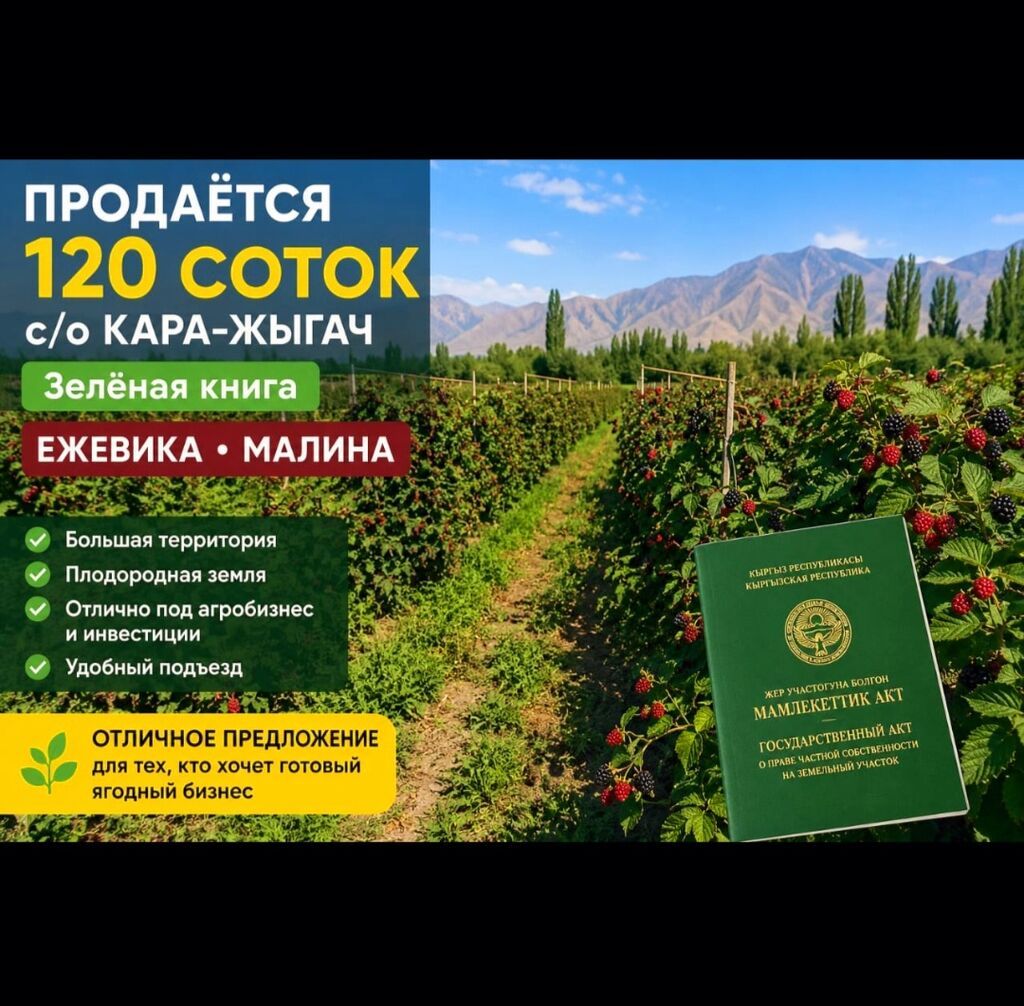 120 соток, Для бизнеса, Договор купли-продажи