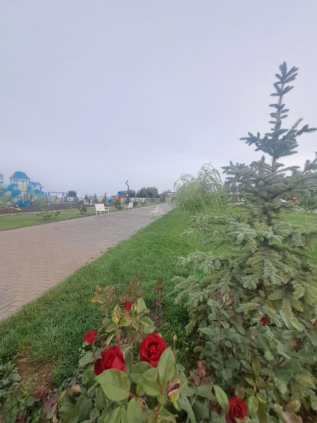 Студия, Семейным, С мебелью полностью