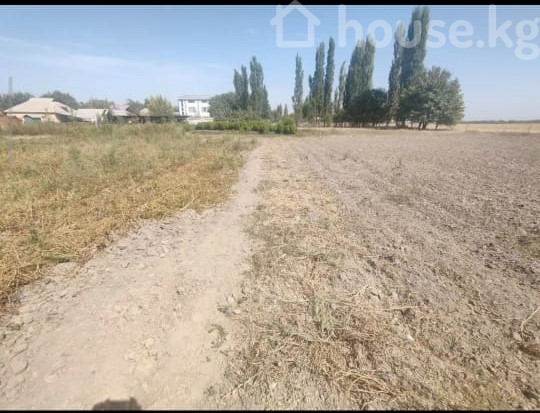 Продажа, участок: Чуйская область / Бишкек, город Бишкек, с. Мыкан — за 17 518 000 сом
