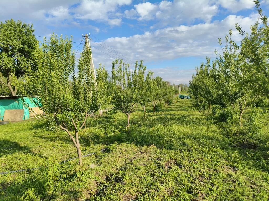 100 соток, Для бизнеса, Договор купли-продажи