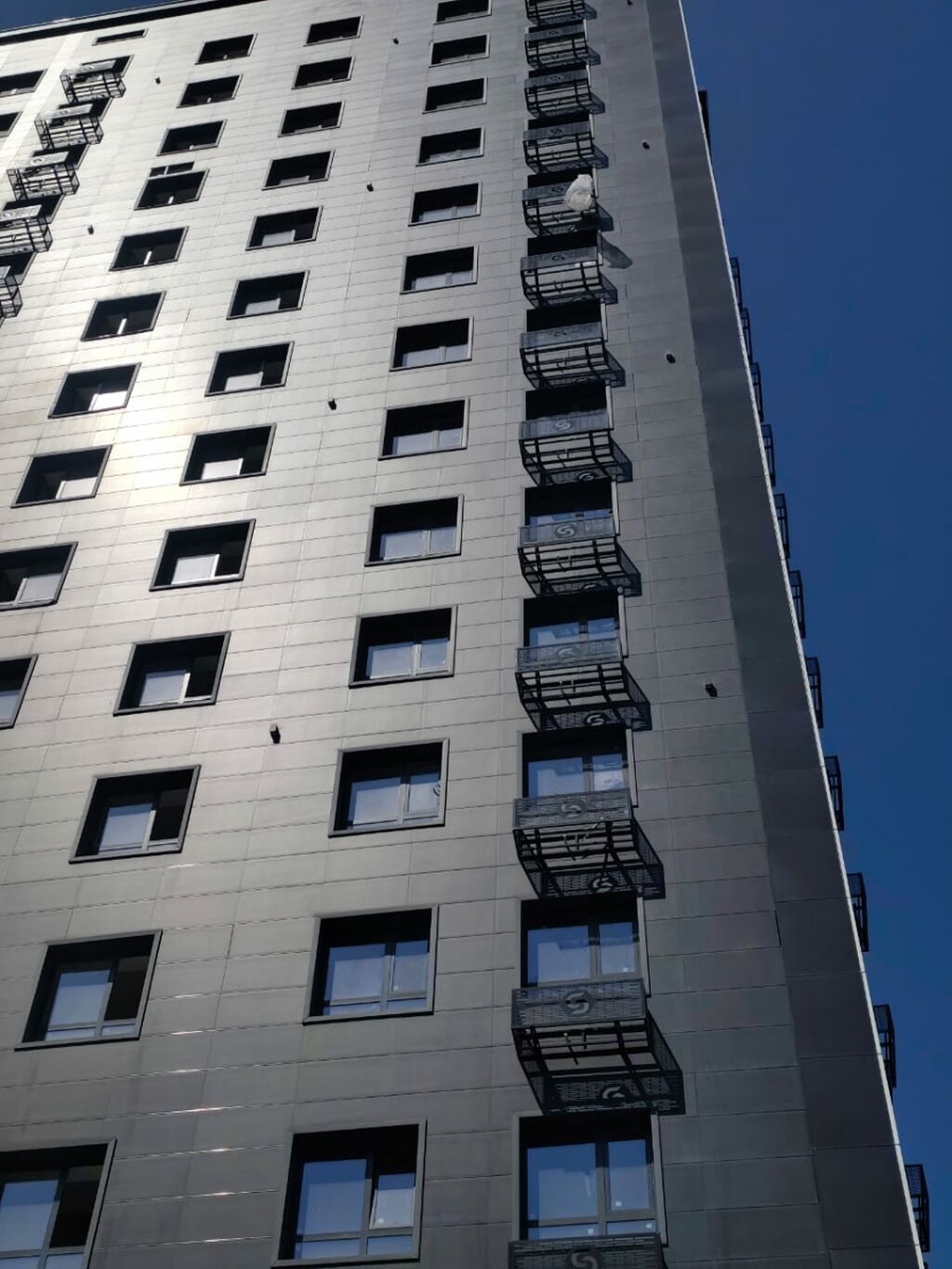 Элитка, Студия, 195 м²