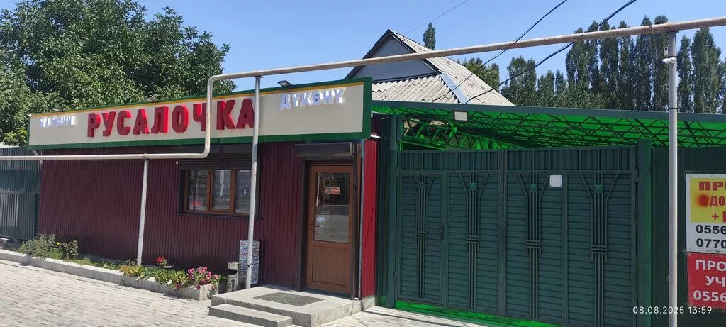 Продаем дом + действующий бизнес . Магазин розливного пива рыба и не