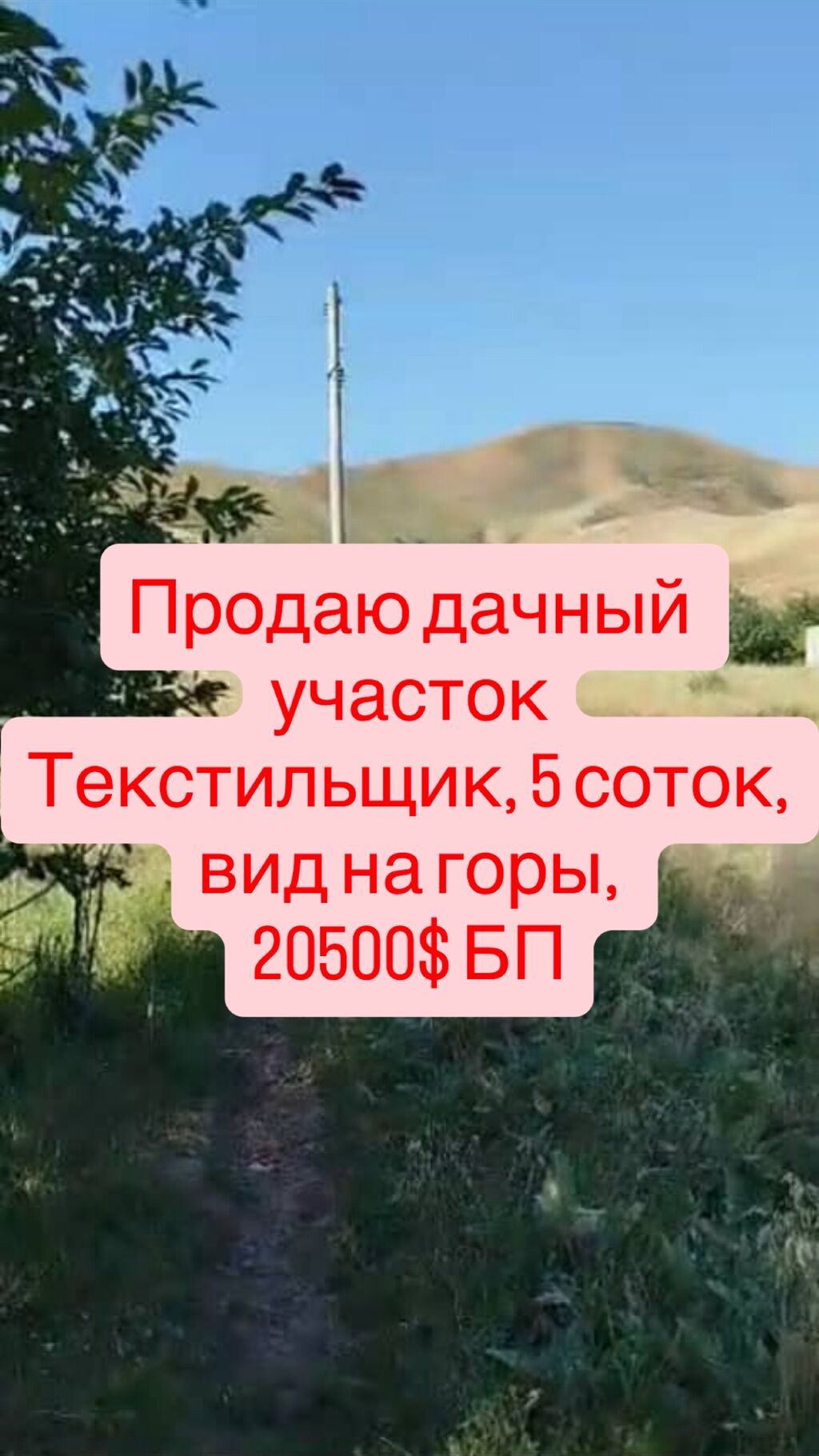 5 соток