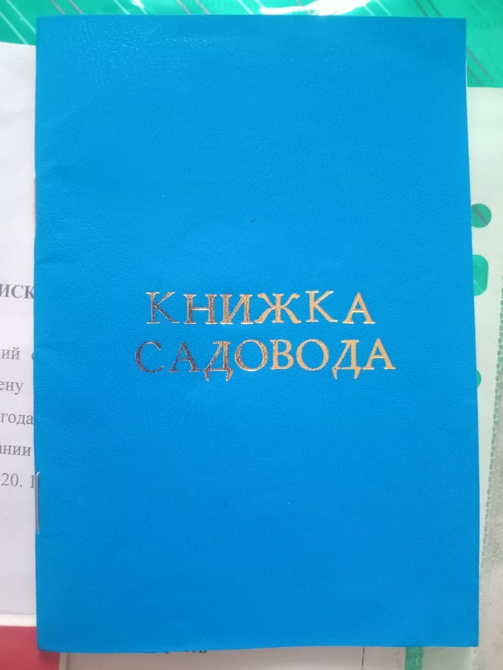 5 соток