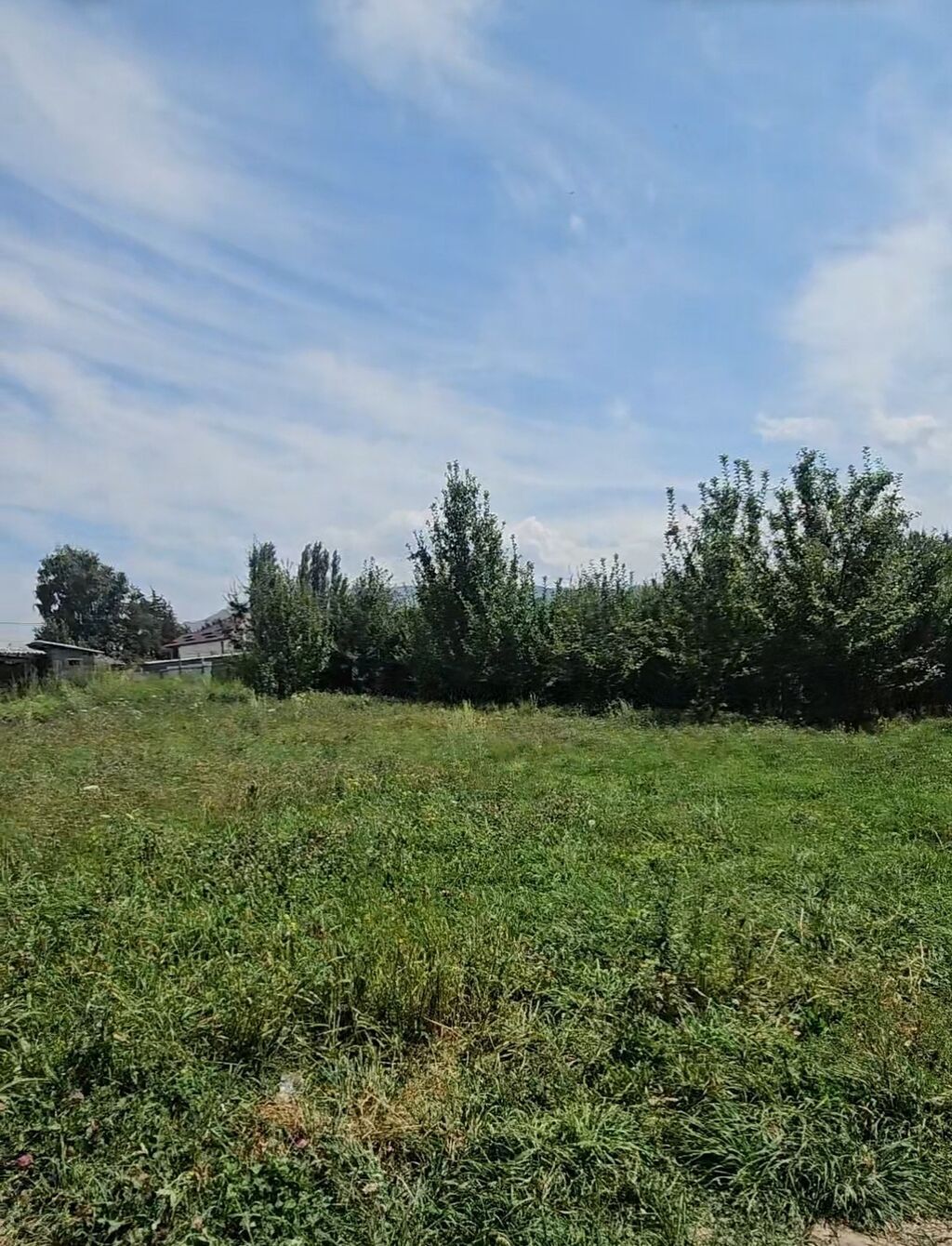 6 соток, Для строительства, Красная книга, Договор купли-продажи