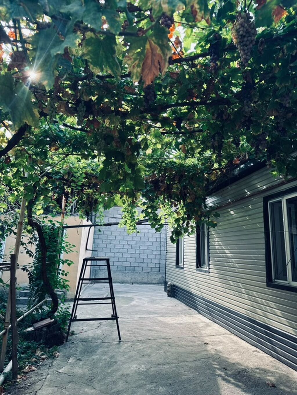 🏡 ПРОДАЮ ДОМ В ЖАЛАЛ-АБАДЕ Продаётся просторный частный дом в тихом и