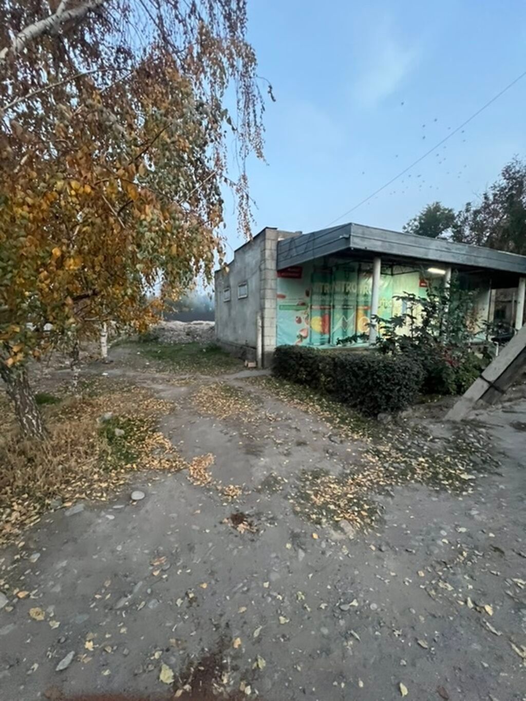 20 соток
