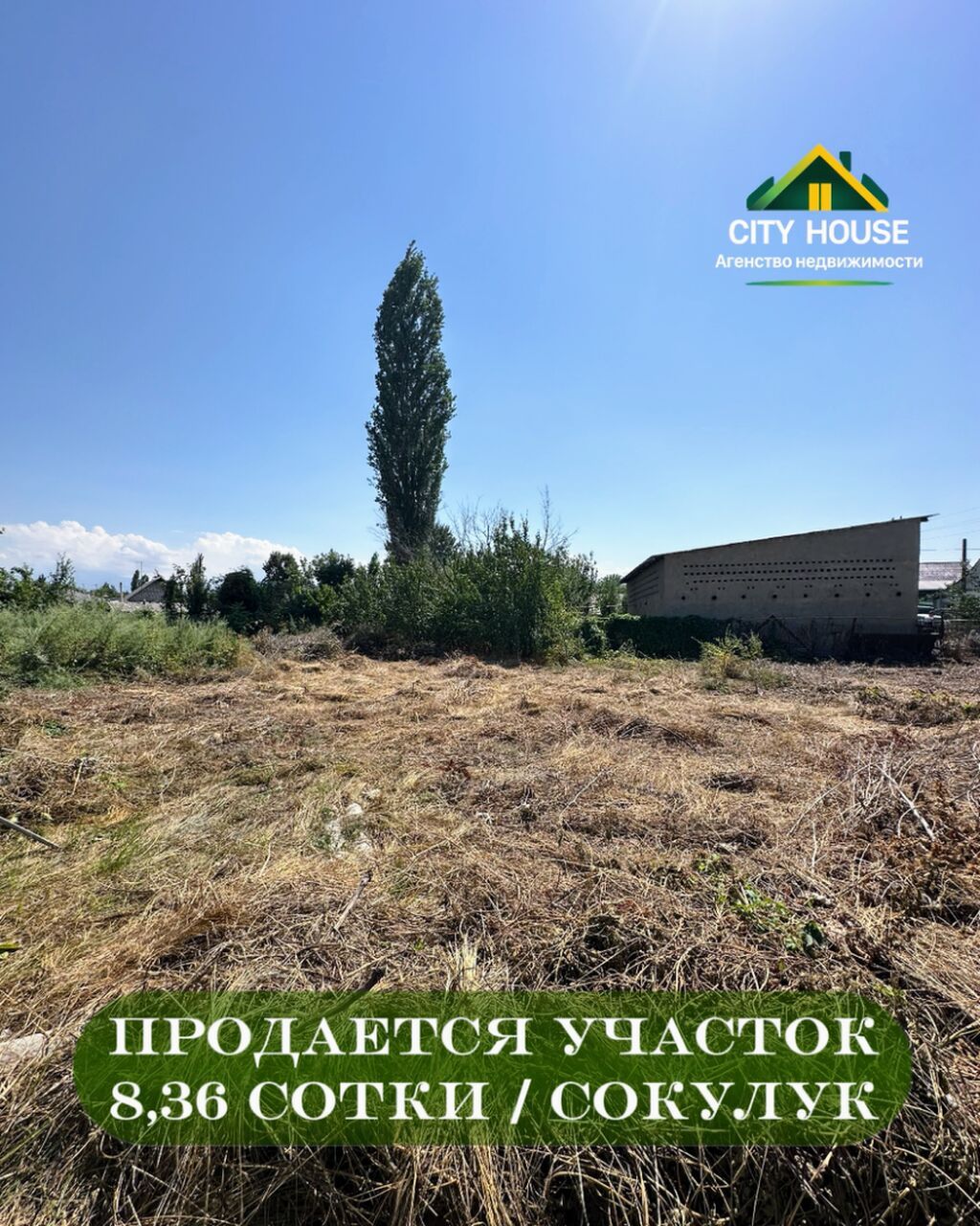 8 соток, Для строительства, Красная книга, Договор купли-продажи