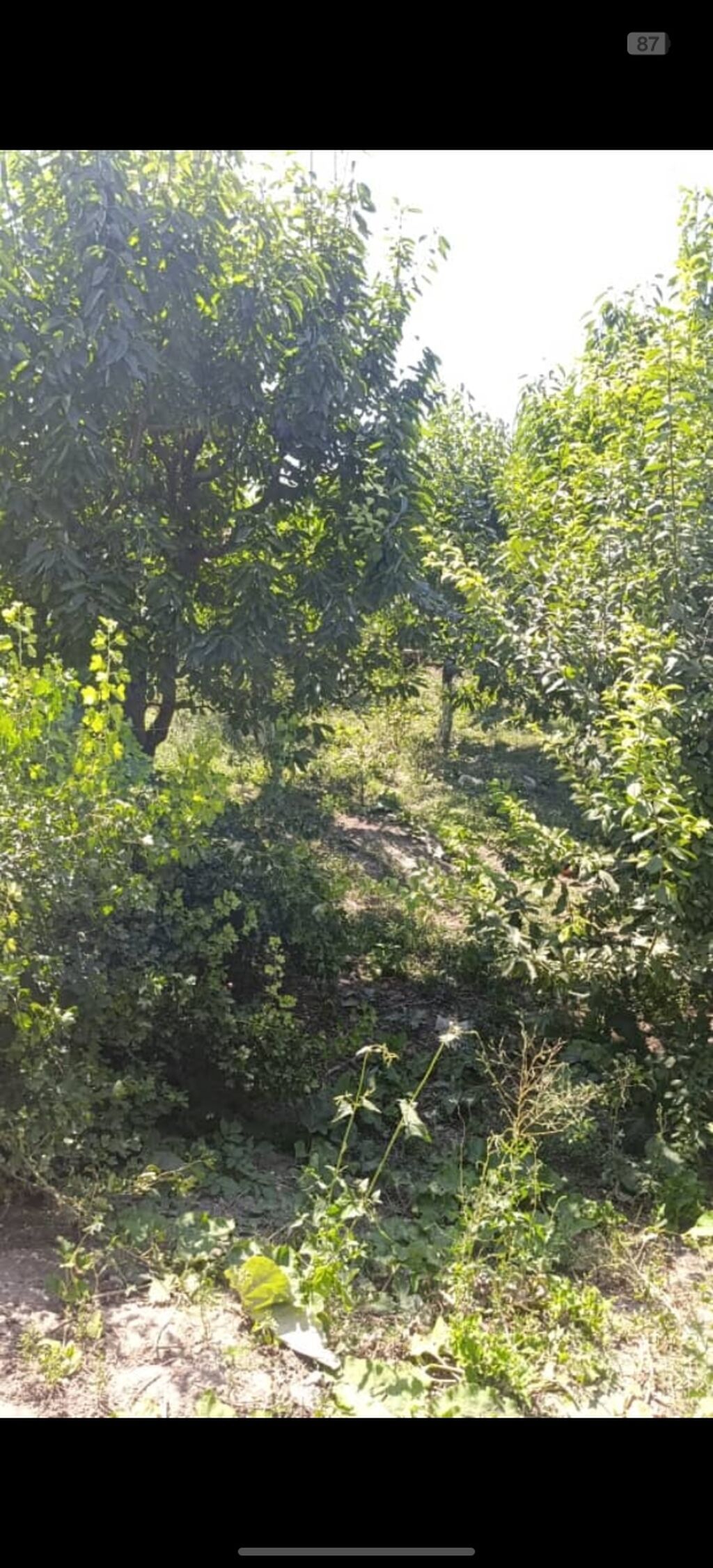 9 соток, Красная книга, Тех паспорт