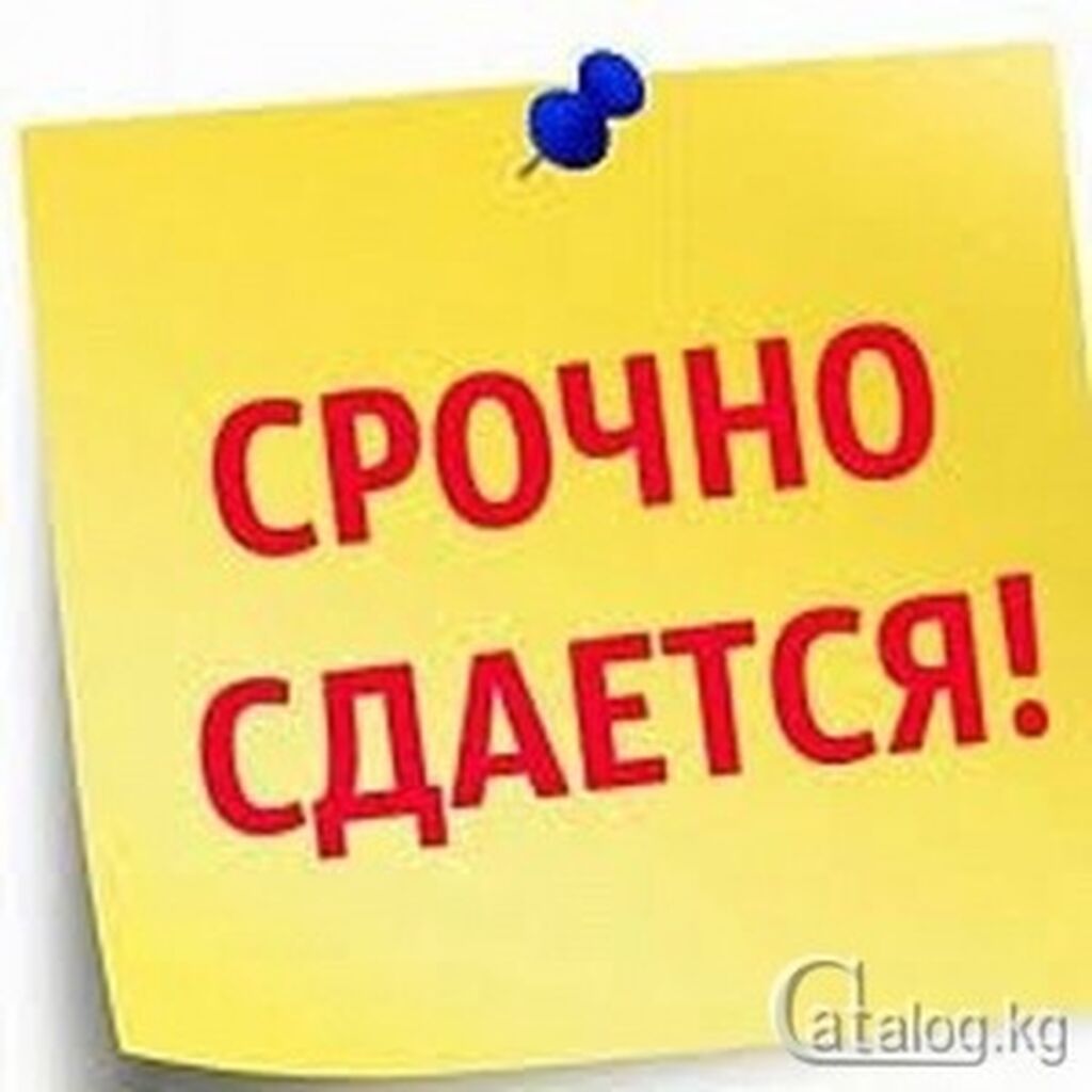 2 комнаты, Мед Академия Собственник, Семейным, от 1 года, С мебелью частично