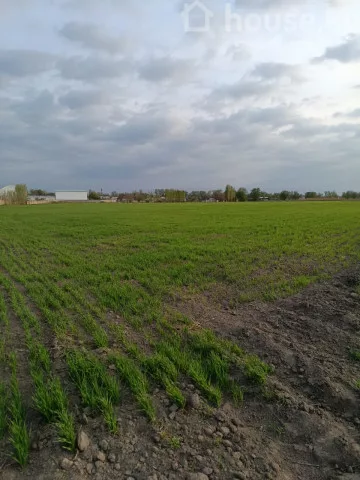 Продажа, участок: Чуйская область / Бишкек, город Бишкек, с. Пригородное — за 7 012 500 сом