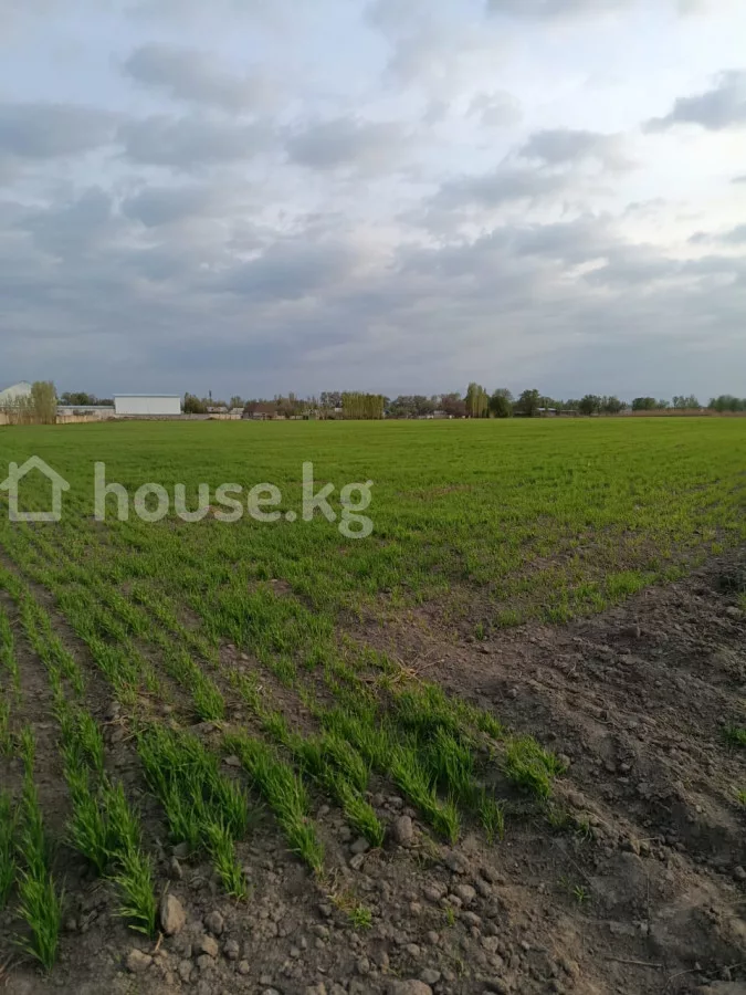 Продажа, участок: Чуйская область / Бишкек, город Бишкек, с. Пригородное — за 7 012 500 сом