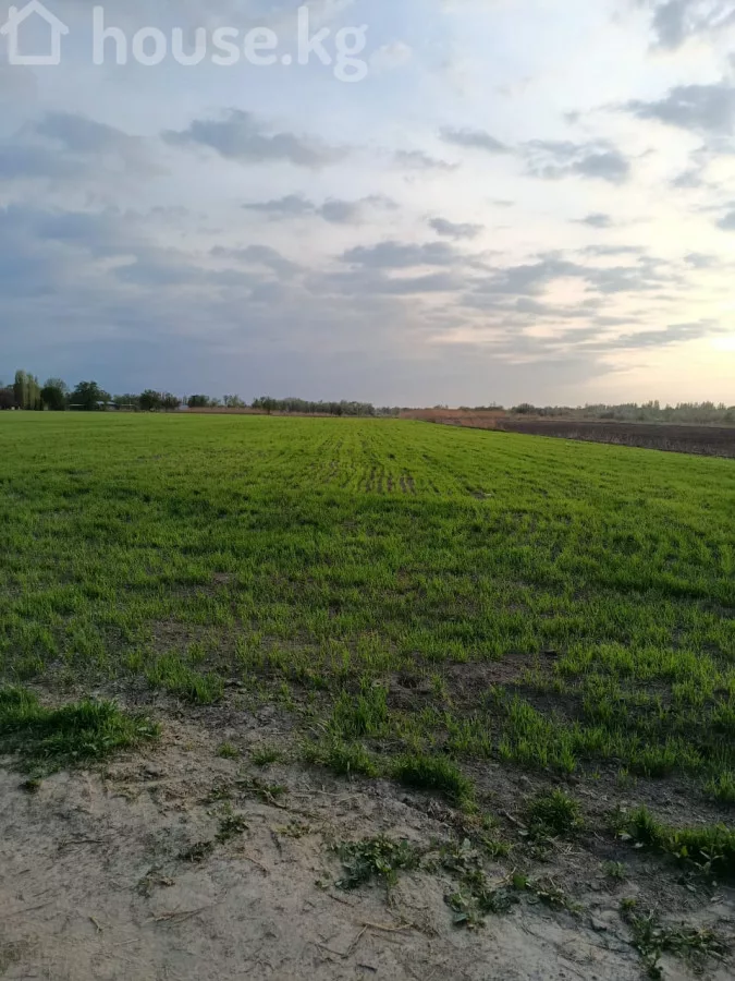 Продажа, участок: Чуйская область / Бишкек, город Бишкек, с. Пригородное — за 7 012 500 сом