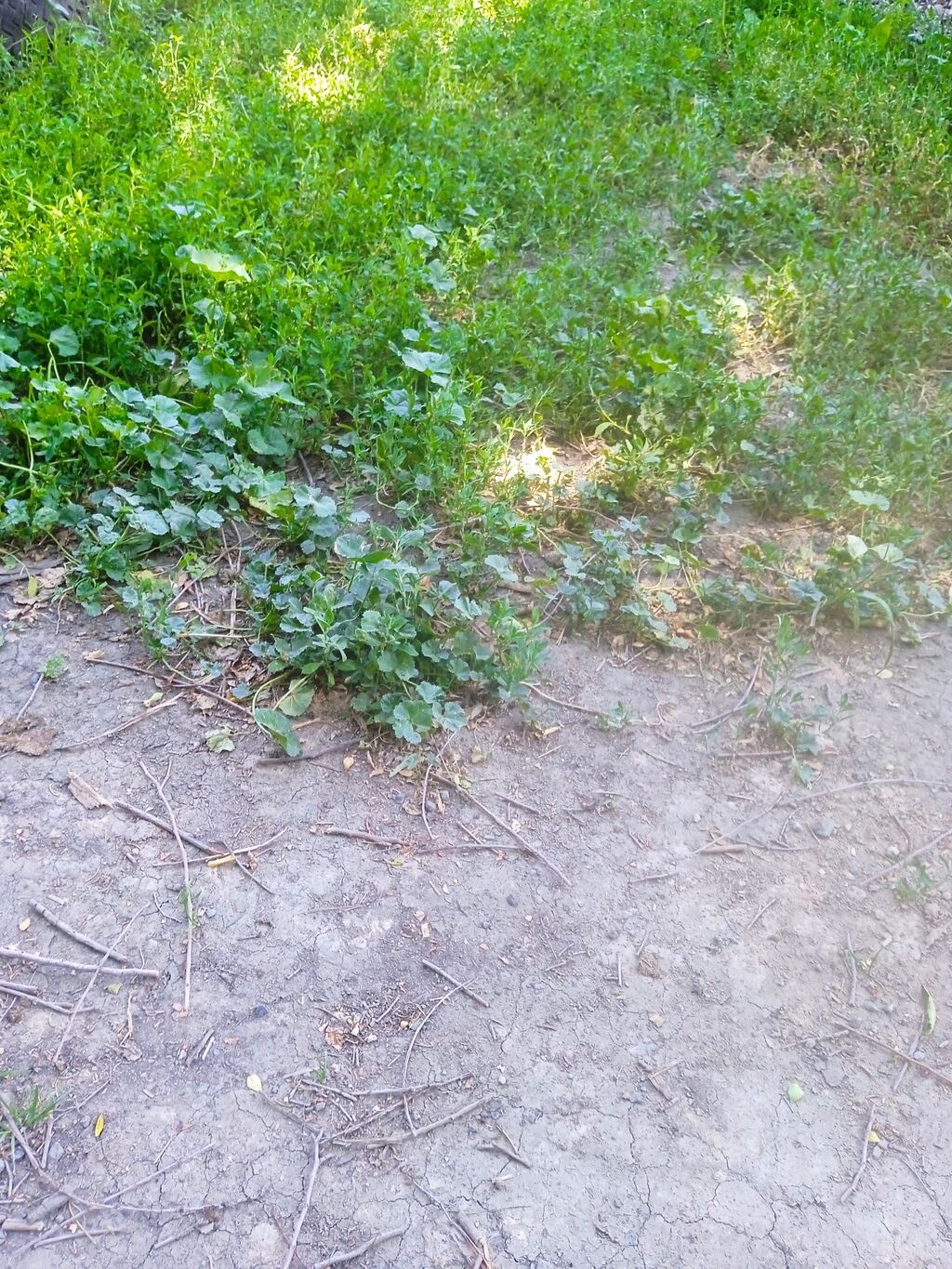 7 соток, Для строительства
