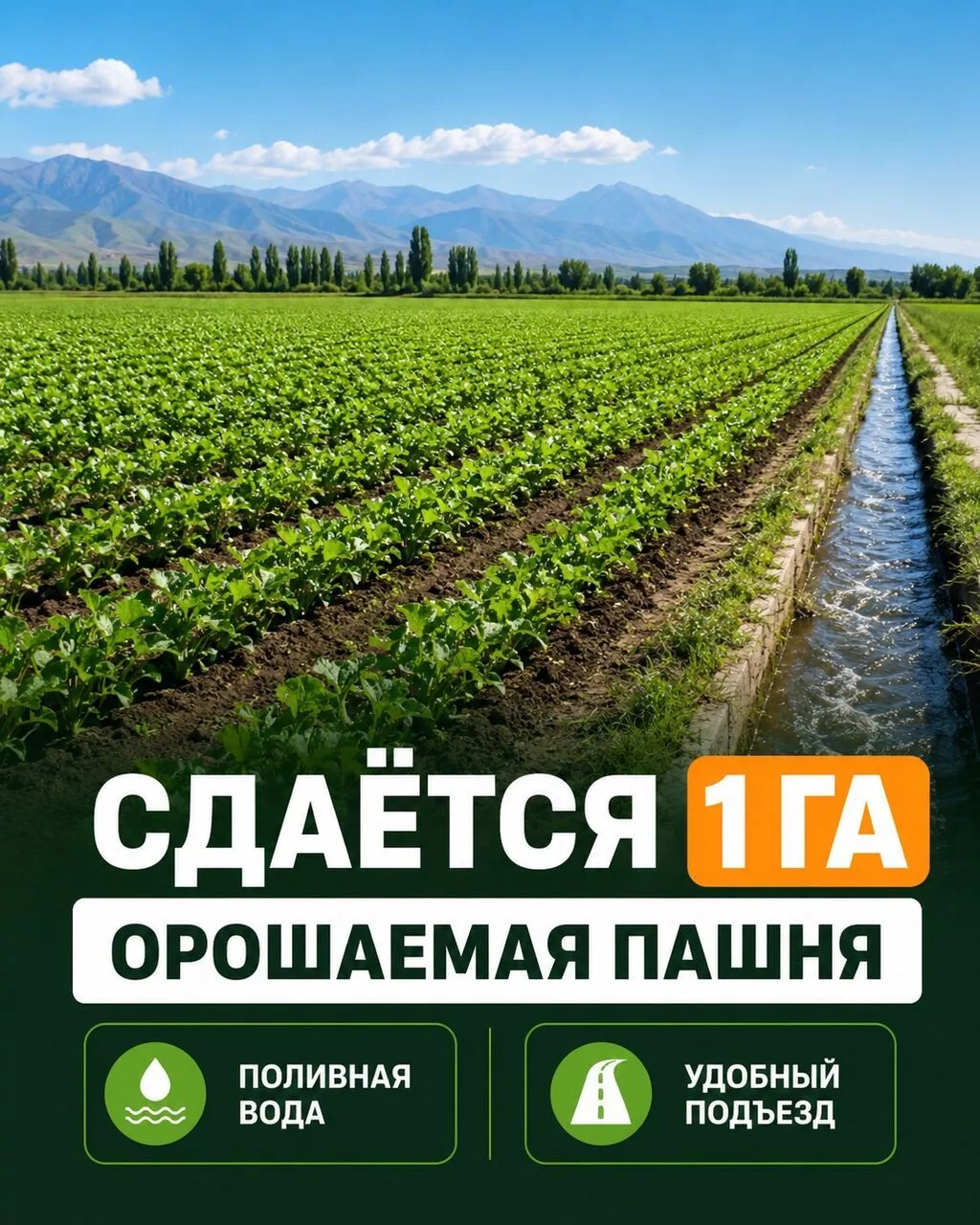100 соток Для сельского хозяйства