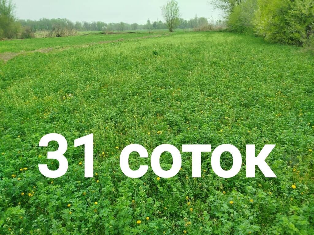 31 соток, Для строительства, Красная книга